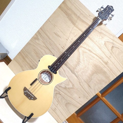 Guitare basse fretless basse