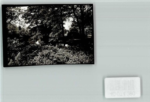 40074290 2870 delmenhorst - -,