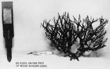 Dover Ohio 511 Pair Of Pliers