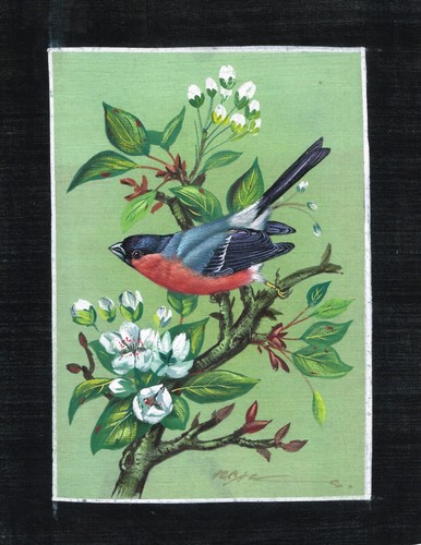 Oiseaux peinture main - oiseaux,