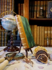 La chaussée des géants