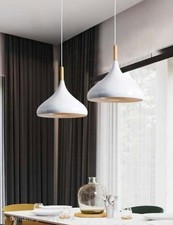 2 luminaire suspension style