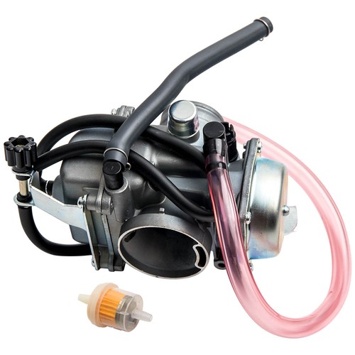 Carburetor fuel filter - carburetor,