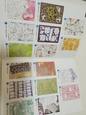 livre de coloriage disney