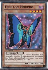 Espillon Morpho 1ère Édition