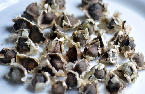 Graines fraiches moringa - graines, de