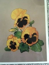 SILVER LINING Smiles of Gold