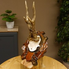 Bois de Cervidés Anormal