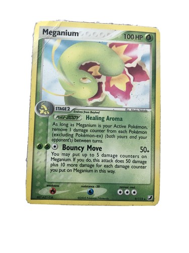 Pokemon meganium unseen - pokemon,