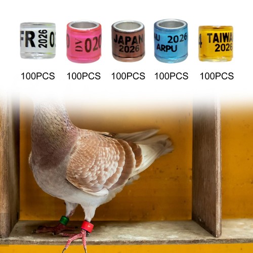 Lot 100 bagues - lot,