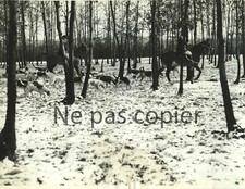 CHASSE à COURRE  vers 1935