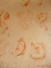 dessin, sanguine feuille