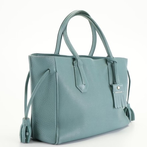 Gorgeous longchamp tote - gorgeous,