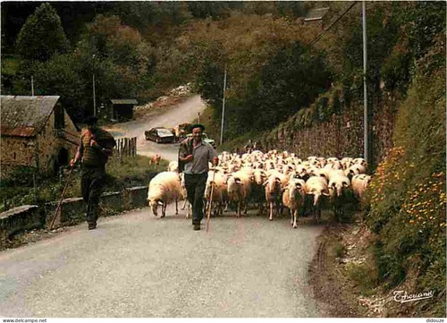 Carte postale animaux - postale,