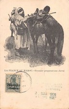 Maroc - Goumier préparant son cheval