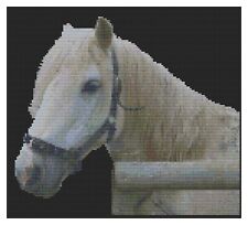 Point de Croix Motif Par