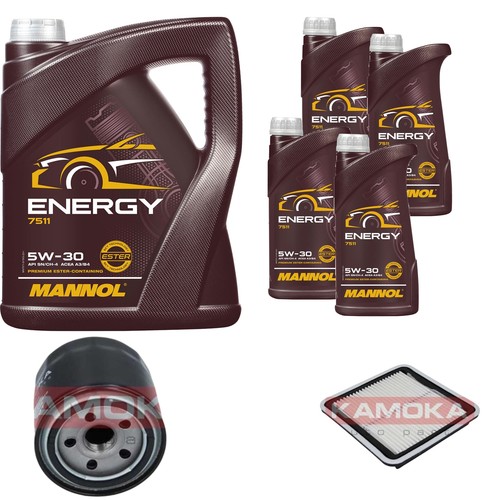 Inspection set energy - energy, 5w-30