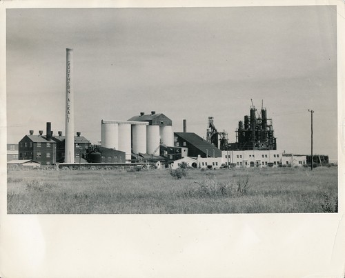 Corpus christi 1950 - corpus, c.
