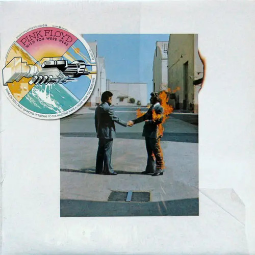 Pink floyd wish you - pink,