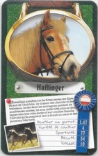 Carte Top Trumps - Chevaux ou Poneys - Haflinger