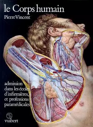 Corps humain pierre - corps,