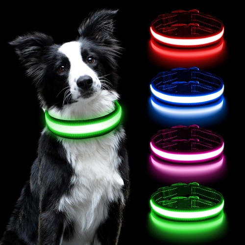 Led collier lumineux pour - lumineux,
