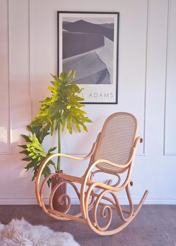 Vintage bentwood rocking - vintage,
