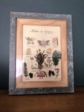 Tableau Ancien Herbier De Montagne Atelier Kervije