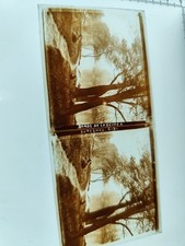 VUE DE LA SEINE A SURESNES VUE STEREOSCOPIQUE 6/13 DEBUT 20 ÈME 