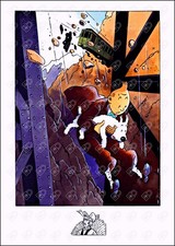 Tintin pascal somon - pascal, •
