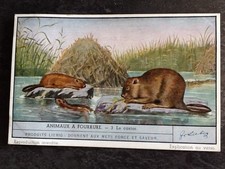 CHROMO LIEBIG SERIE ANIMAUX A