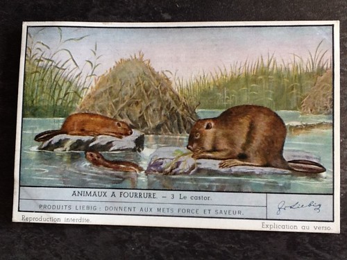 Chromo liebig serie animaux - chromo,