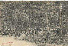 Postcard carte postale - postcard,