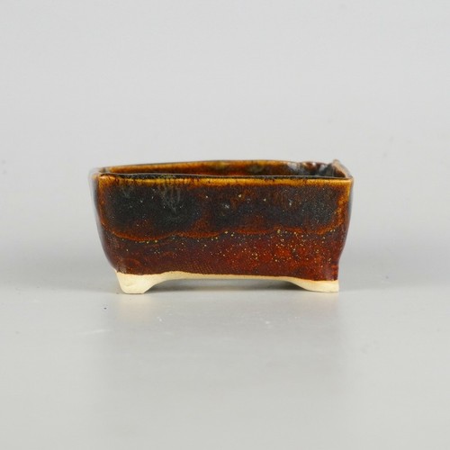 Pot bonsaï japonais yuki - japonais,
