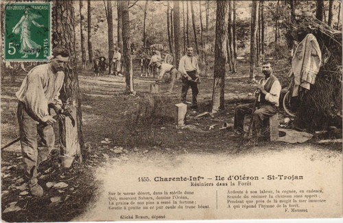 Cpa ile oléron - ile-d'olÉron, st-trojan