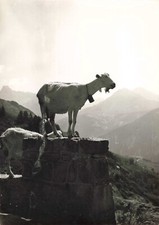 ANCIENNE PHOTOGRAPHIE VERS