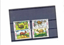 MONGOLIE ANTILOPE 1980