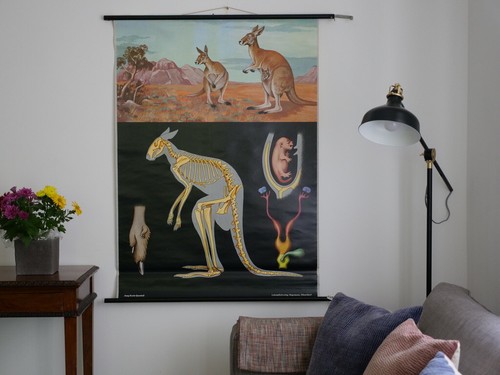 Vintage carte murale - vintage,