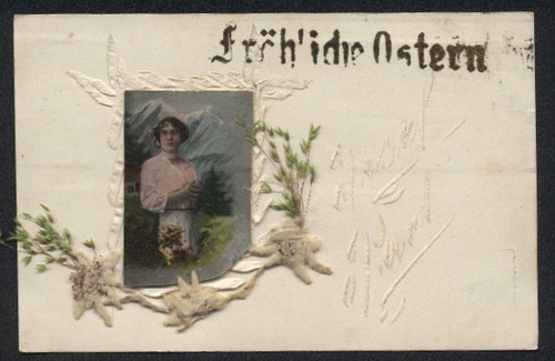 Carte postale fleurs - carte,