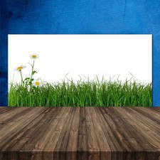 Crédence de cuisine en verre