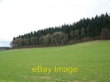 Photo 6x4 Rockstead Copse