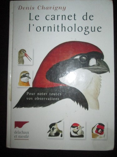 (Ornithologie/Oiseaux)Denis