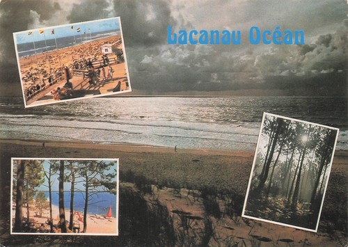 Lacanau ocean - 33,