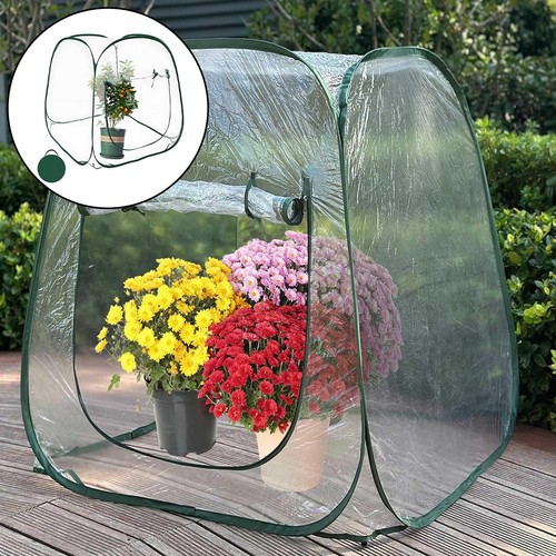 Grande serre transparente pour - grande,