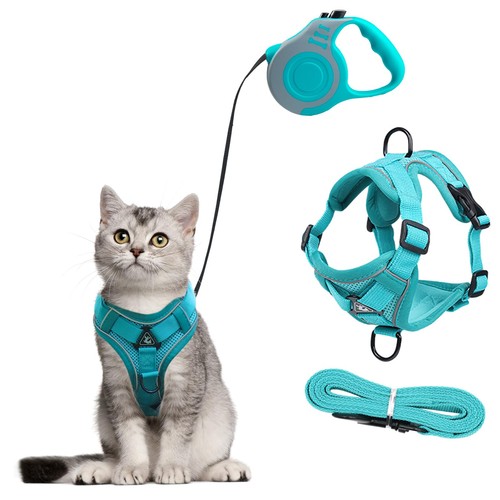 Harnais pour chat - chat, avec