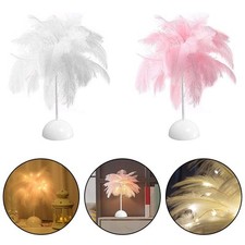 Lampe de bureau chic en plumes