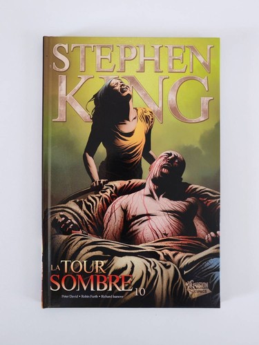 Tour sombre tome 10 - sombre,