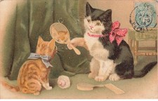 MIKIFP9-001- CHAT NOIR ET CHATON ROUX MIROIRE NOEUDS PAPILLONS