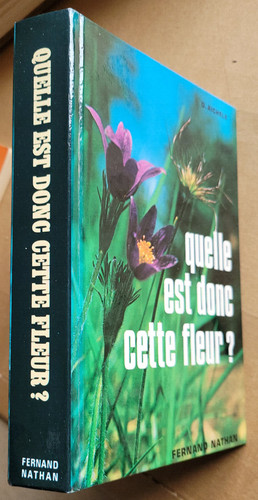 Quelle est donc cette - , fleur