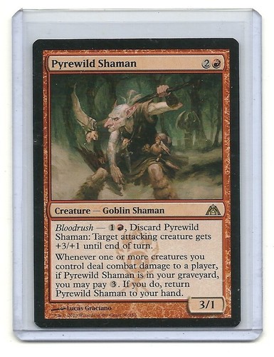 Pyrewild shaman dragon - pyrewild, shaman-dragon`s